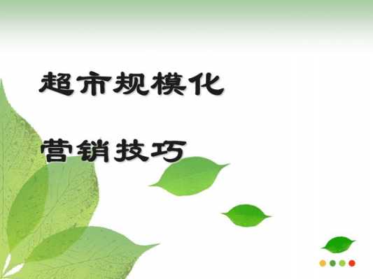 超市客户营销策划方案ppt模板_超市营销策划方案范文-第1张图片-马瑞范文网