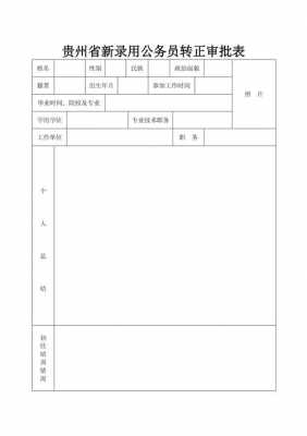 公务员转正表模板下载-第1张图片-马瑞范文网