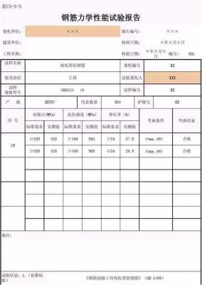 力学性能测试报告 力学测试报告模板-第2张图片-马瑞范文网