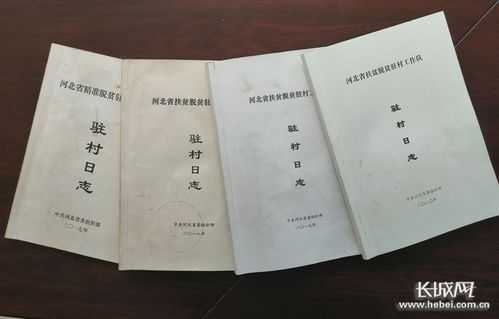  村书记的先进事迹模板「村书记的先进事迹模板范文」-第3张图片-马瑞范文网