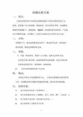 租赁商业策划书模板_租赁方案模板-第1张图片-马瑞范文网