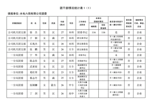 团员统计表模板 团员汇总表模板-第3张图片-马瑞范文网