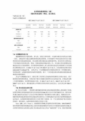 合并报表附注模板-第2张图片-马瑞范文网