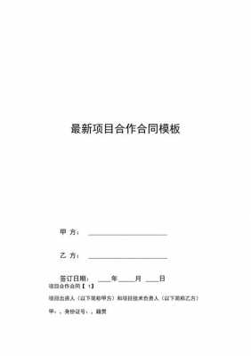 项目合同模板简单-小项目合同模板-第3张图片-马瑞范文网