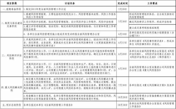  风险管理审计计划模板「风险审计的目标」-第3张图片-马瑞范文网