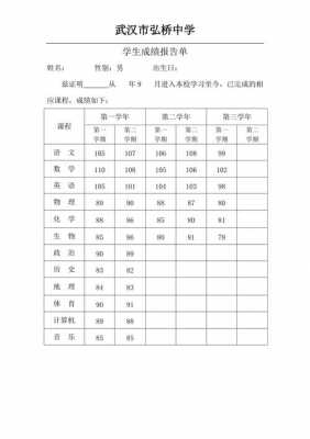 高中三年的成绩册模板-第2张图片-马瑞范文网