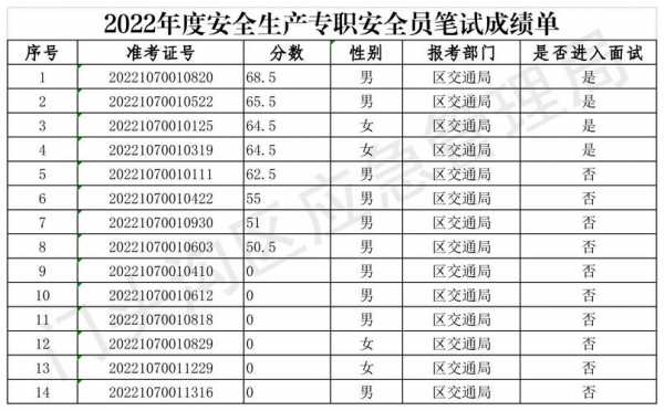 安全员情况说明书模板（安全员情况说明书模板下载）-第3张图片-马瑞范文网