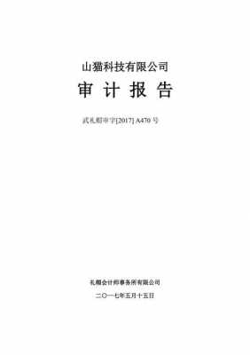 长文式审计报告模板,审计报告的段落 -第1张图片-马瑞范文网