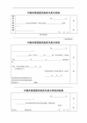 临时团组织关系模板,临时组织关系格式 -第1张图片-马瑞范文网