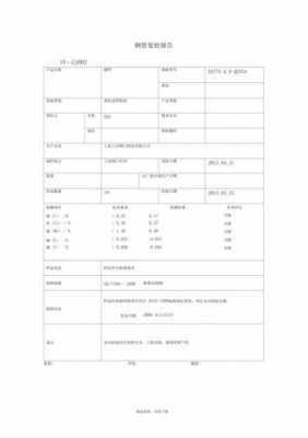  复验复检报告模板「复检报告是什么」-第1张图片-马瑞范文网