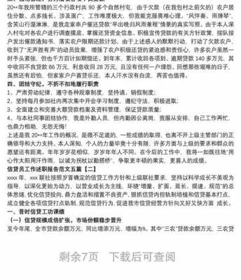 信贷团队工作汇报模板怎么写-第3张图片-马瑞范文网