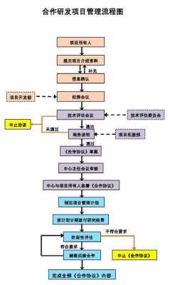 药品研发项目管理流程 药品研发项目考核模板-第1张图片-马瑞范文网