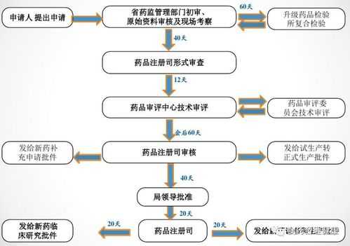 药品研发项目管理流程 药品研发项目考核模板-第3张图片-马瑞范文网