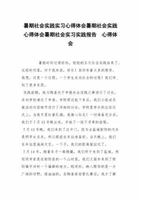 暑假社会实践心得体会模板,暑假社会实践心得体会摘要 -第2张图片-马瑞范文网