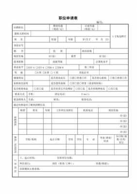 职业申请表填写模板6-第1张图片-马瑞范文网