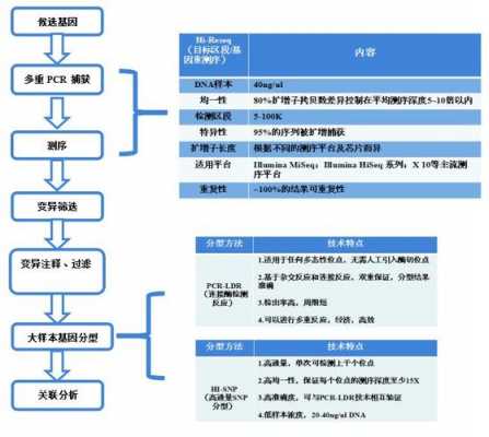 医学论文技术路线怎么写-医学技术路线图模板-第2张图片-马瑞范文网