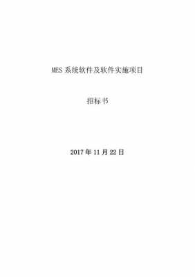 软件招标技术方案模板_软件项目招标书案例-第1张图片-马瑞范文网