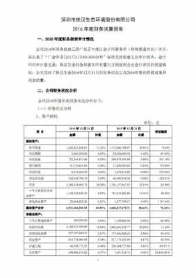 年度财务决算报告范本 年度财务决算报告模板-第3张图片-马瑞范文网