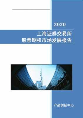  上交所报告模板「上交所报告模板最新」-第1张图片-马瑞范文网