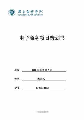 电子项目策划书-电子项目方案模板-第1张图片-马瑞范文网