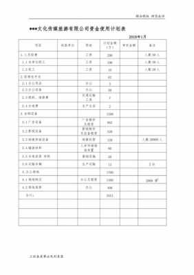 企业资金计划表模板（企业资金计划怎么写）-第3张图片-马瑞范文网