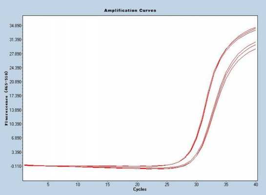模板浓度太高影响PCR得原因 模板nor-第2张图片-马瑞范文网