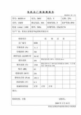 电机检测报告模板（电机检测报告样本）-第3张图片-马瑞范文网