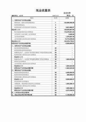 现金流审核报告模板（如何审核现金流量表）-第2张图片-马瑞范文网