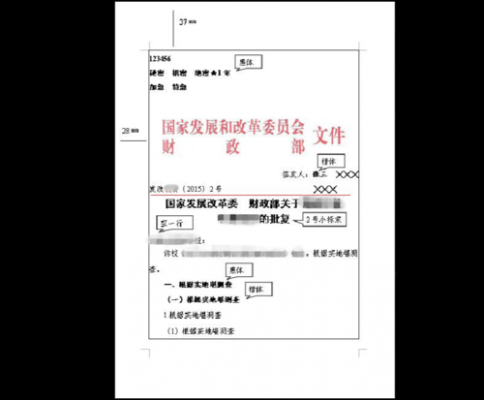 党政机关公文a4纸的模板（党政机关公文a4纸的模板是什么）-第3张图片-马瑞范文网