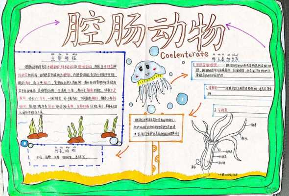 手抄报模板生物（生物手抄报内容 简单）-第1张图片-马瑞范文网