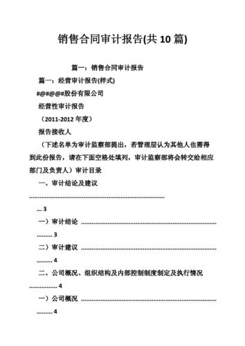 销售内部审计报告范文-第2张图片-马瑞范文网