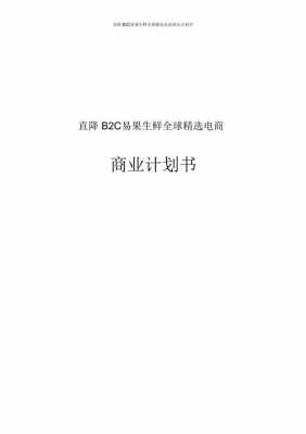 b2c项目策划书模板（b2c项目商业计划书）-第2张图片-马瑞范文网