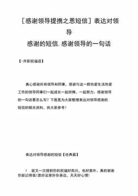 感谢领导的短信模板_感谢领导的祝福短信-第3张图片-马瑞范文网