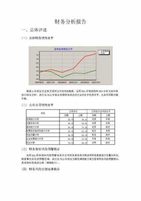 app财务分析报告范文-第3张图片-马瑞范文网