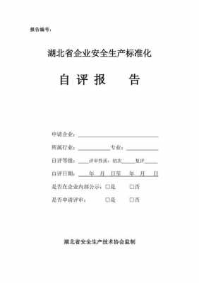 自评报告格式怎么写 自评价报告的模板-第2张图片-马瑞范文网