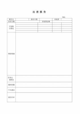 政府宣传出差报告模板-第3张图片-马瑞范文网