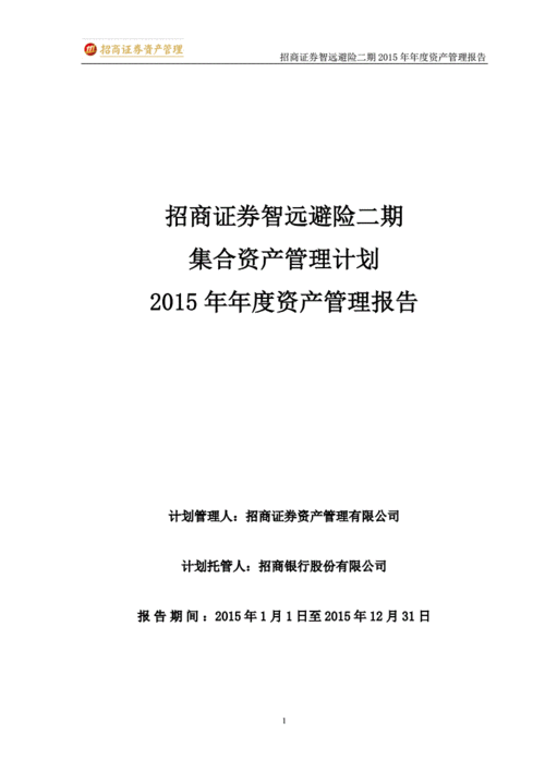 资产管理年度报告模板范文-第2张图片-马瑞范文网