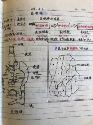 小学科学课笔记模板,小学科学笔记摘抄大全 -第2张图片-马瑞范文网