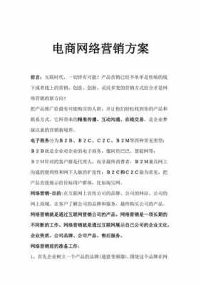 网络营销设计方案模板_网络营销方案设计报告-第1张图片-马瑞范文网