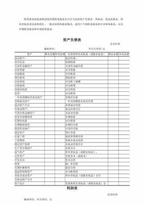 2016年度财务报表模板_2019年最新财务报表格式-第3张图片-马瑞范文网