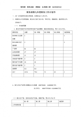 策划书财务计划模板,策划书财务计划模板图片 -第2张图片-马瑞范文网