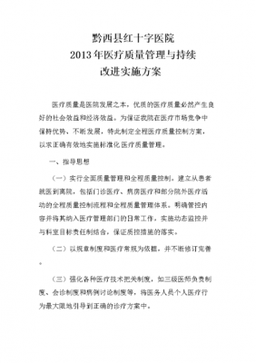  轻医疗实施方案模板「轻医疗实施方案模板怎么写」-第3张图片-马瑞范文网