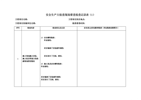  现场督导检查记录模板「现场督导检查重点工作」-第2张图片-马瑞范文网