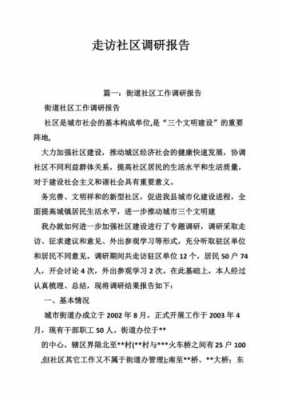  村社区调研提纲模板「社区调研报告范文2000字」-第2张图片-马瑞范文网