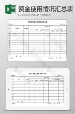 资金情况使用表模板_资金使用情况报告模板-第3张图片-马瑞范文网