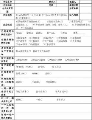 软件调研内容-软件系统调研报告模板-第2张图片-马瑞范文网