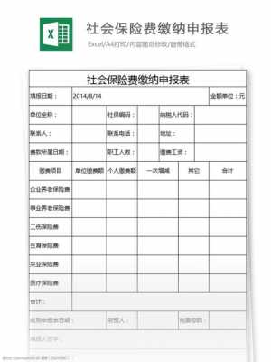 社保报表用哪个软件打印-第3张图片-马瑞范文网