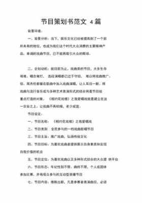 广播电视节目策划模板_广播电视节目策划案模板-第3张图片-马瑞范文网