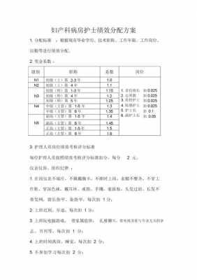 护理绩效指标-护理绩效方案模板-第3张图片-马瑞范文网