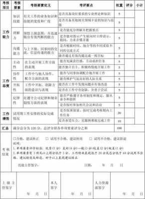 新员工试用期评价模板（新员工在试用期间的表现评价）-第1张图片-马瑞范文网